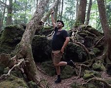 Image result for Aokigahara Dead Bodies
