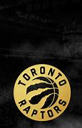 Image result for Toronto Raptors Black and Gold