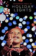 Image result for McHenry Home Christmas Light Displays