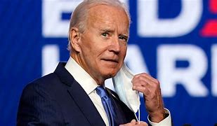 Image result for Joe Biden Official Picture