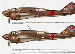 Image result for Japanese WWII Fighters