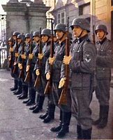 Image result for Waffen SS Honor Guard
