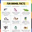 Image result for Daily Facts Poster