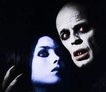 Image result for Nosferatu Vampyre