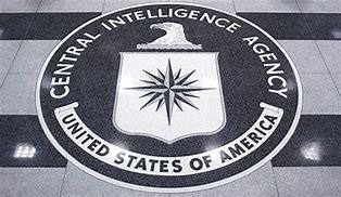 Image result for CIA Operative
