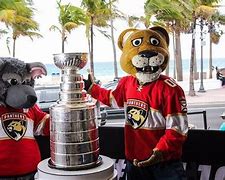 Image result for Florida Panthers Mascot