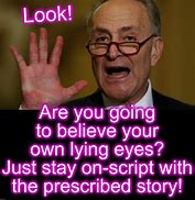 Image result for Chuck Schumer Hair Plugs