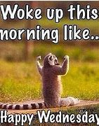 Image result for Wednesday Morning Funny Quotes