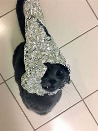 Image result for 5 Cats with Foil Hats