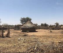 Image result for Darfur Janjaweed