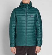 Image result for Patagonia Down Sweater Hoody or No Hood
