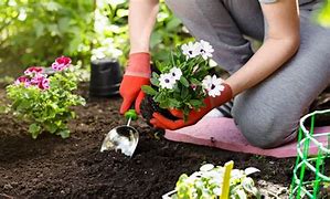 Image result for Gardening Day May 7