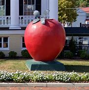 Image result for Biggest Apple Ever Grown