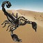 Image result for realistic scorpions draw
