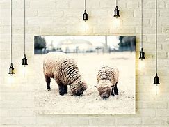 Image result for Wayfair Sheep Wall Art