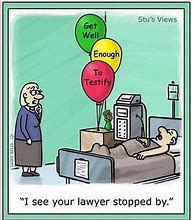 Image result for Being a Lawyer Humor