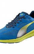 Image result for Nike Puma Shoes