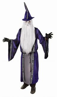 Image result for Wizard Costumes for Men