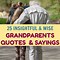 Image result for Grandchildren Quotes