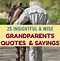 Image result for Sayings About Grandchildren