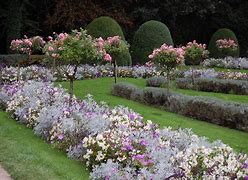 Image result for Rose Garden Landscaping