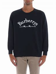 Image result for Burberry Embroidery Sweatshirt