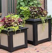 Image result for Unusual Large Outdoor Planters