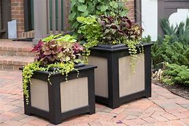 Image result for Small Garden Pots