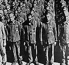Image result for Al Switch German Prisoner of War Camp