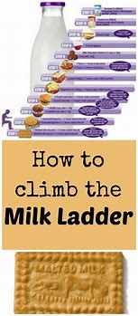 Image result for Milk Cooler Ladders