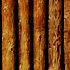 Image result for Building Wooden Shed