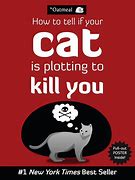 Image result for How to Tell If Your Cat Is Plotting to Kill You