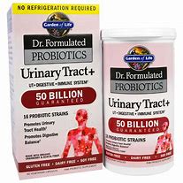 Image result for Urinary Tract Probiotics