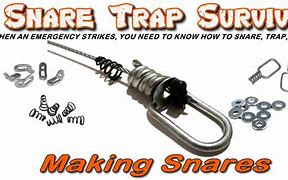 Image result for Trapping Snares