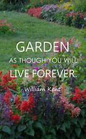 Image result for Gardening Quotes