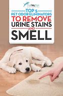 Image result for Best Pet Urine Odor Remover