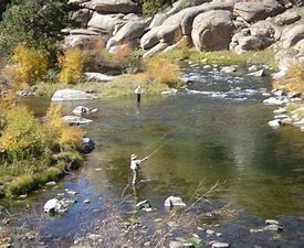 Image result for Eleven Mile Canyon Camping