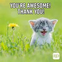 Image result for Funny Thank You Signs