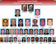 Image result for DiMeo Crime Family Chart