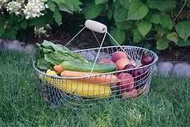 Image result for Chest Freezer Wire Basket