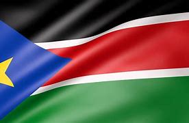 Image result for Sudan Flag Button