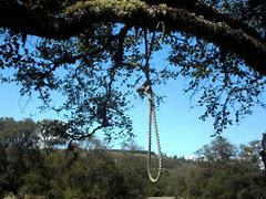 Image result for Hanging Decapitation