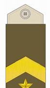 Image result for Ranks and Insignias Latvian Army