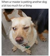 Image result for Funny Dog Thoughts