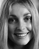 Image result for Sharon Tate Murdered