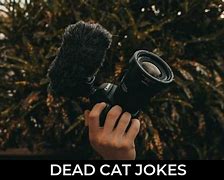 Image result for Dead Cat Jokes