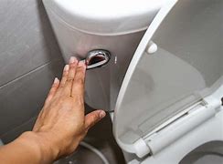 Image result for Flushing Toilet