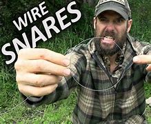Image result for How to Make a Wire Rabbit Snare