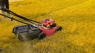 Image result for Self-Propelled Lawn Mower Sale