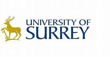 Image result for University of Surrey Logo